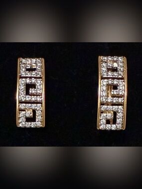 Luxurious Style Gold-tone Earrings
